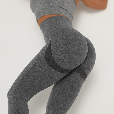 Viscacha - Seamless Knitted Hip Wicking